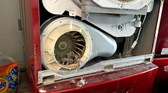 Dryer Makes Noise