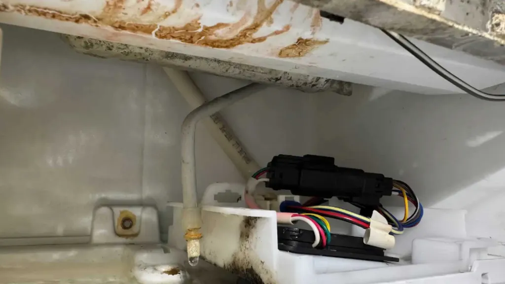 Ice machine is dirty